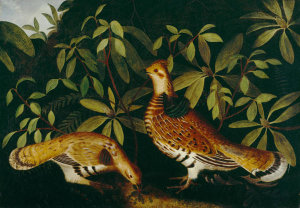 Rubens Peale - Two Ruffed Grouse in Underbrush, 1864