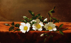 Martin Johnson Heade - Cherokee Roses, ca. 1890