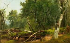 Asher Brown Durand - Forest Scene in the Catskills, between 1855 and 1860