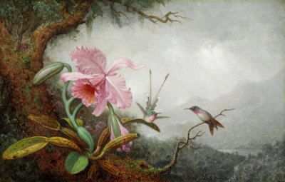Martin Johnson Heade - Hummingbirds and Orchids, 1880s