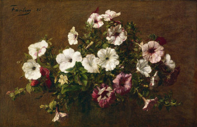 Henri Fantin-Latour - Petunias, 1881