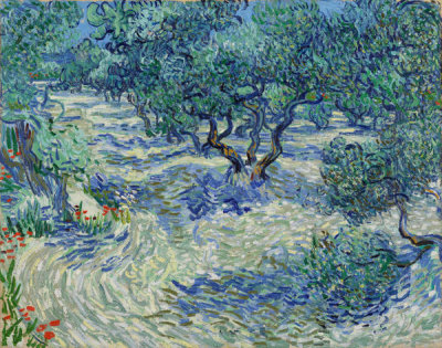 Vincent van Gogh - Olive Trees, 1889